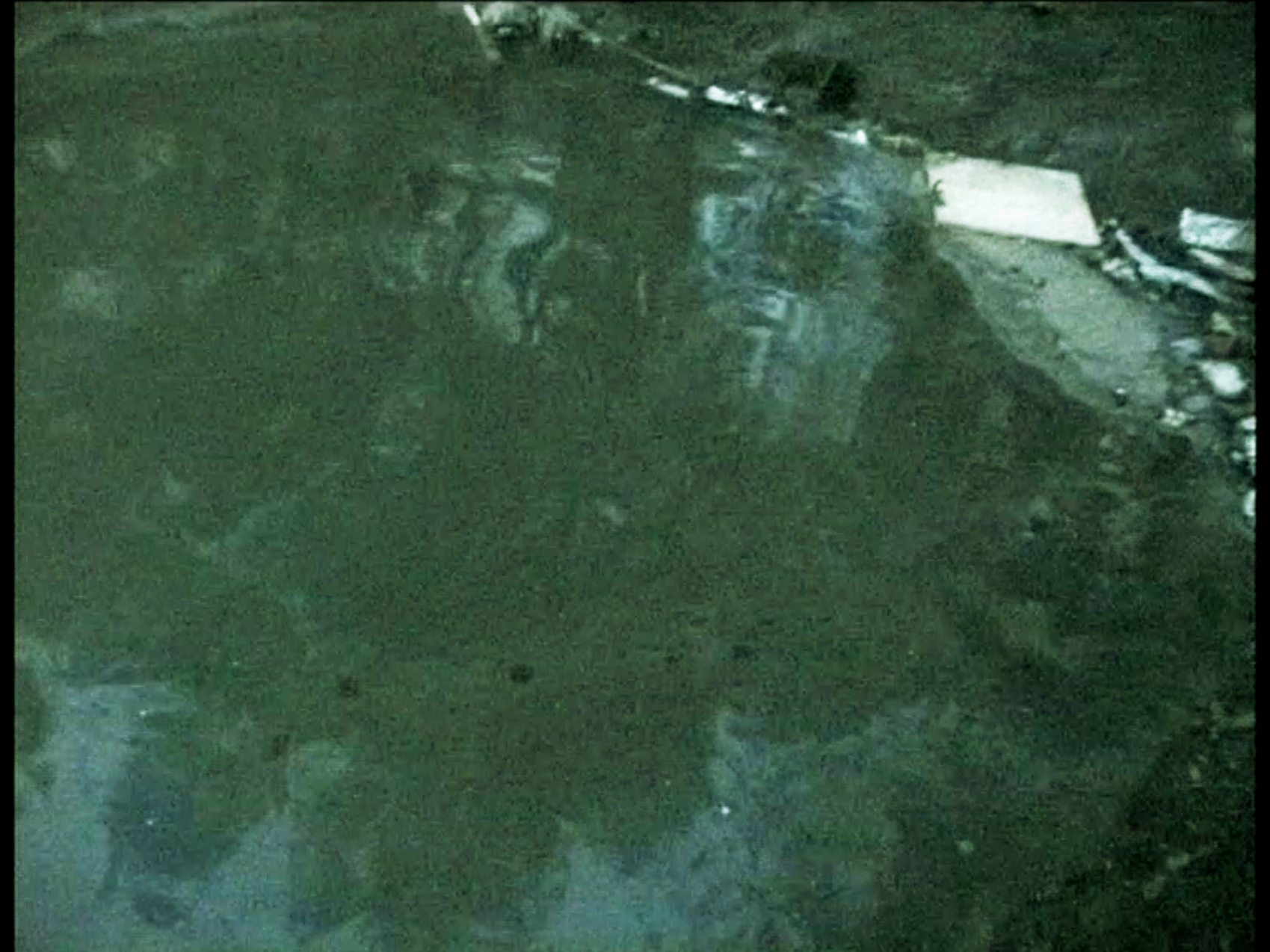 Peng Yu, Exile, 2000. Video still. Collection of M HKA /Museum of Contemporary Art, Antwerp.