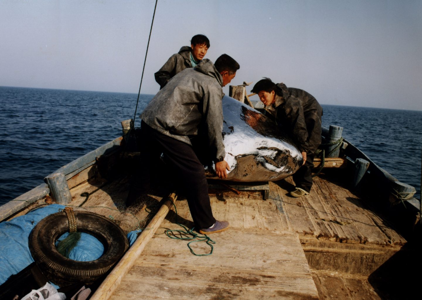 Video still of studio assistants handling the stainless steel rock in Beyond 12 Nautical Miles—Floating Rock Drifts on the Open Sea, 2000. Courtesy of Zhan Wang Studio.